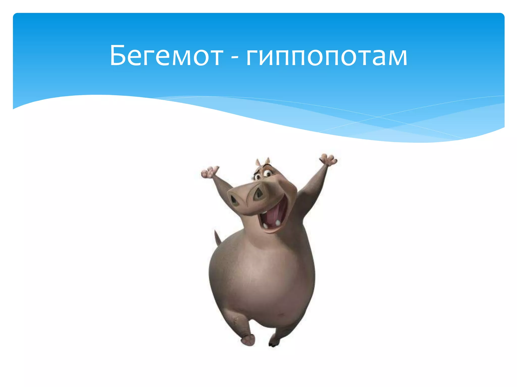 Бегемот - гиппопотам
 
