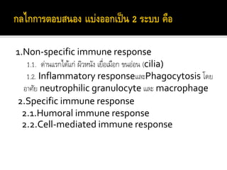1.Non-specific immune response
1.1. ด่านแรกได้แก่ ผิวหนัง เยื่อเมือก ขนอ่อน (cilia)
1.2. Inflammatory responseและPhagocytosis โดย
อาศัย neutrophilic granulocyte และ macrophage
2.Specific immune response
2.1.Humoral immune response
2.2.Cell-mediated immune response
 
