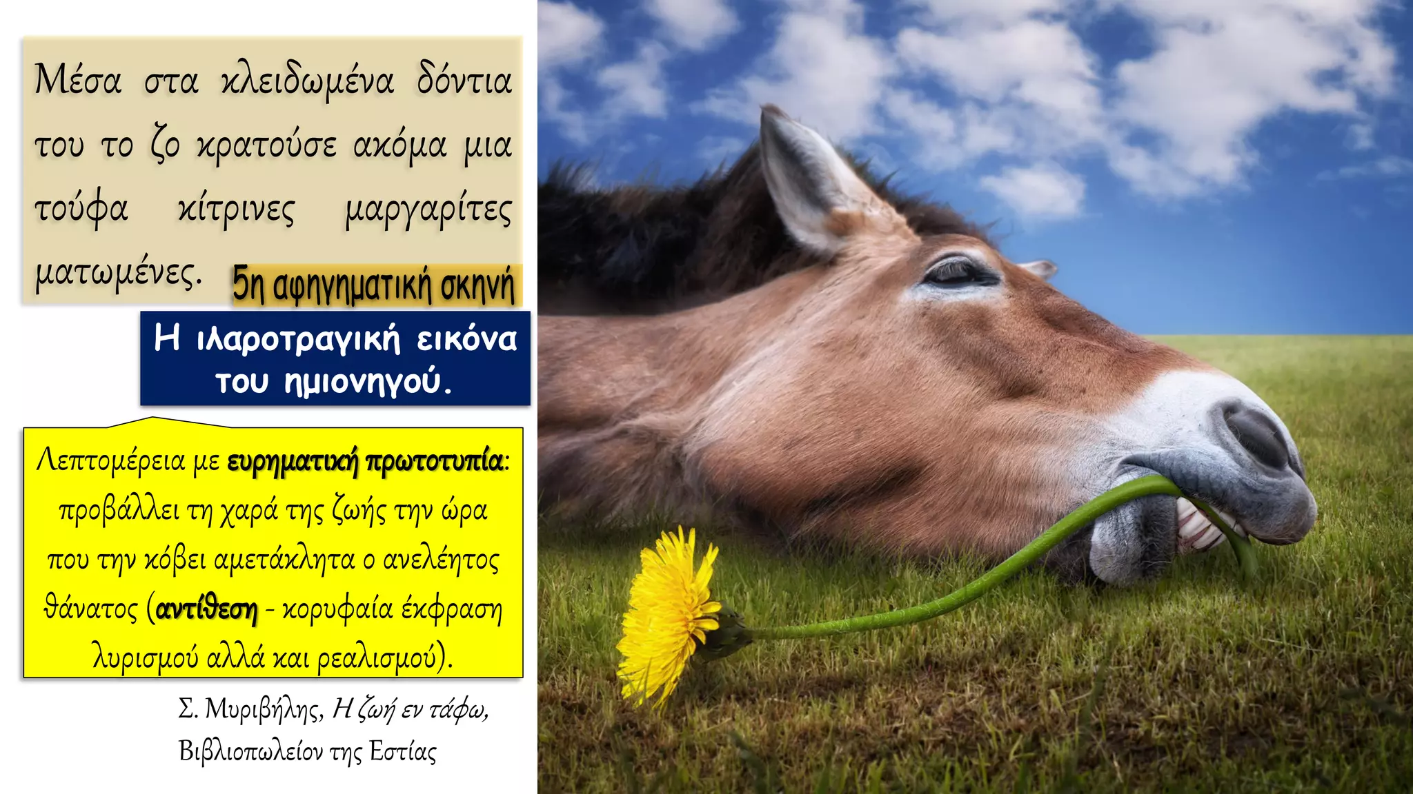 Μέσα στα κλειδωμένα δόντια
του το ζο κρατούσε ακόμα μια
τούφα κίτρινες μαργαρίτες
ματωμένες.
Σ. Μυριβήλης, Η ζωή εν τάφω,
Βιβλιοπωλείον της Εστίας
Η ιλαροτραγική εικόνα
του ημιονηγού.
Λεπτομέρεια με ευρηματικήπρωτοτυπία:
προβάλλει τη χαρά της ζωής την ώρα
που την κόβει αμετάκλητα ο ανελέητος
θάνατος (αντίθεση - κορυφαία έκφραση
λυρισμού αλλά και ρεαλισμού).
 