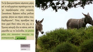 Τα ζα ξεκουραστήκανε κάμποσες μέρες
απ' το πολυμερίτικο περπάτημα που τα
'χε παραζαλισμένα στην κούραση.
Ξανεσάνανε. Βρήκανε κιόλας μπόλικο
χορτάρι, φάγαν και πήραν απάνω τους.
Καρδάμωσαν*. Τότες προσέξανε πως
ήταν χαρά Θεού πάνω στη γης, κι ο
Έρωτας κέντριζε όλα τα πάντα, από τα
μαμούδια ως τα λουλούδια, να μπούνε
μέσα στο παναιώνιο πανηγύρι της
αναπαραγωγής. μεταφορά
 