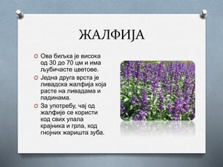 биологија | PPT