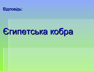 Відповідь:Відповідь:
Єгипетська кобраЄгипетська кобра
 