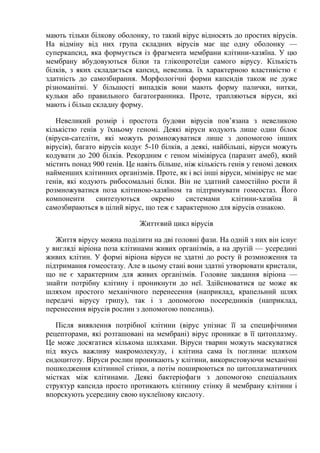 віруси | PDF