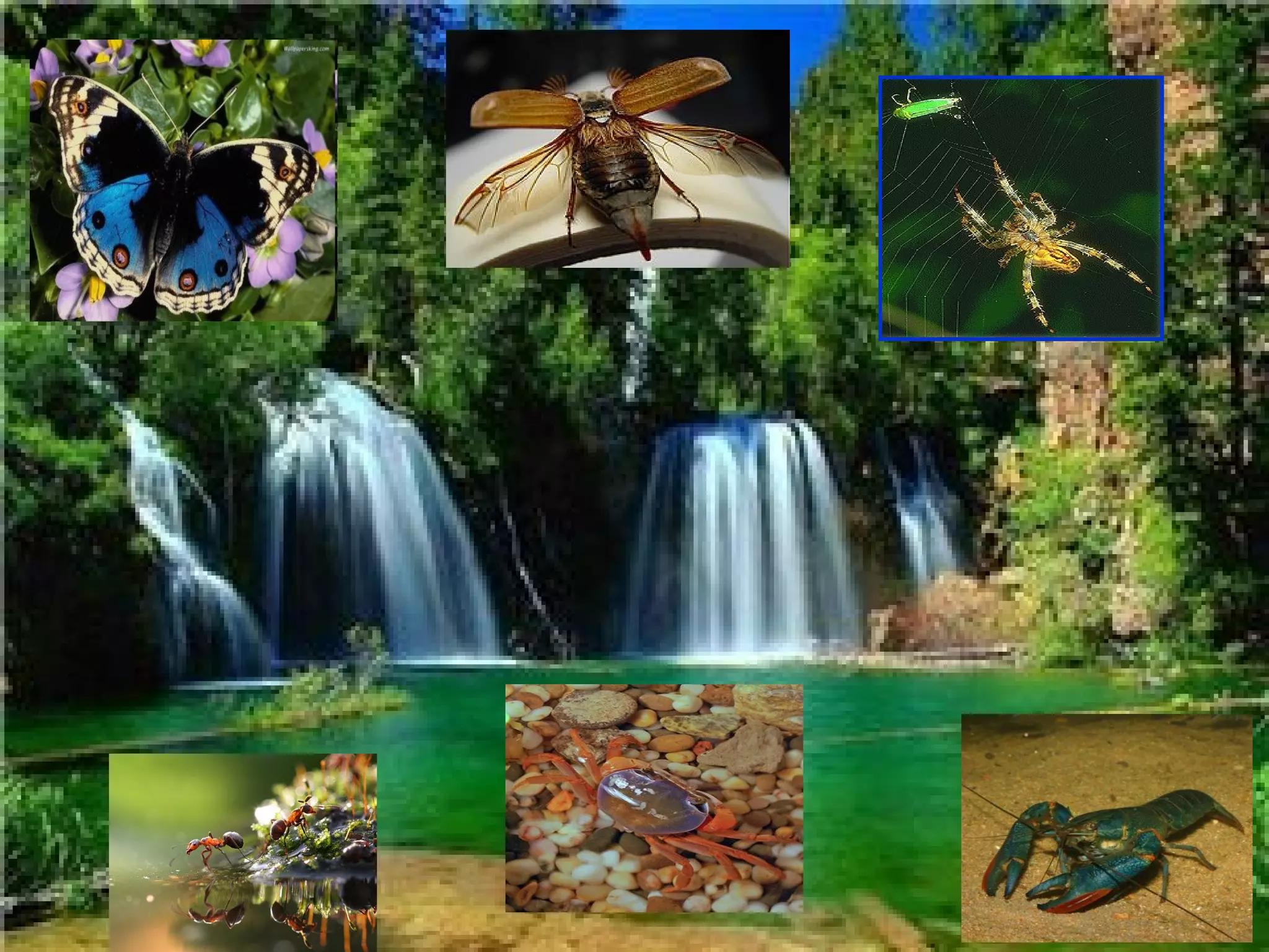 позакласний захід