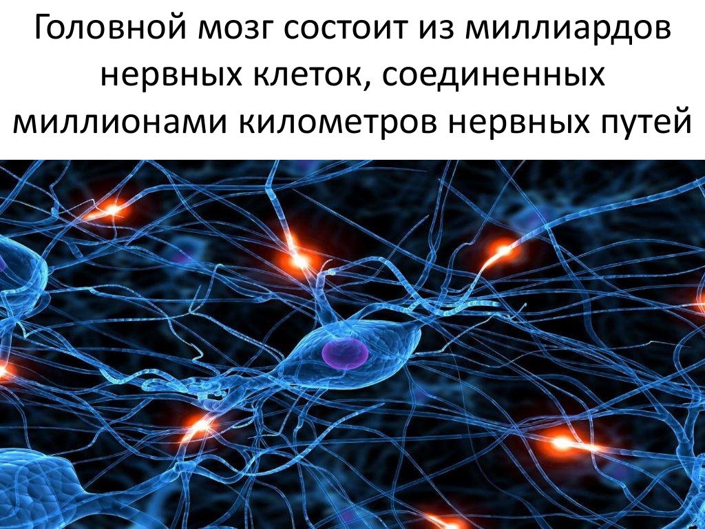 Неврология