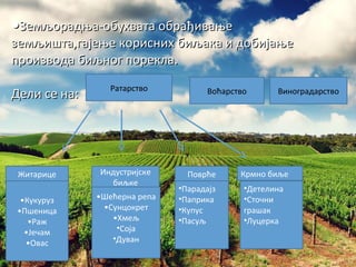 ●●Земљорадња-обухвата обрађивањеЗемљорадња-обухвата обрађивање
земљишта,гајење корисних биљака и добијањеземљишта,гајење корисних биљака и добијање
производа биљног порекла.производа биљног порекла.
Дели се на:Дели се на: Ратарство Воћарство Виноградарство
•Кукуруз
•Пшеница
•Раж
•Јечам
•Овас
Житарице
•Шећерна репа
•Сунцокрет
•Хмељ
•Соја
•Дуван
Индустријске
биљке
Поврће Крмно биље
•Парадајз
•Паприка
•Купус
•Пасуљ
•Детелина
•Сточни
грашак
•Луцерка
 