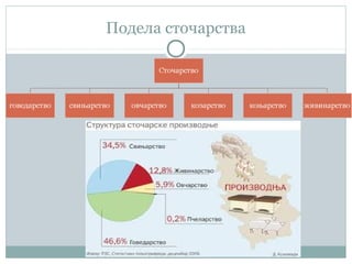 Подела сточарства
 