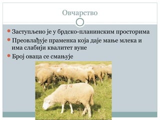 Овчарство
Заступљено је у брдско-планинским просторима
Преовлађује праменка која даје мање млека и
има слабији квалитет вуне
Број оваца се смањује
 