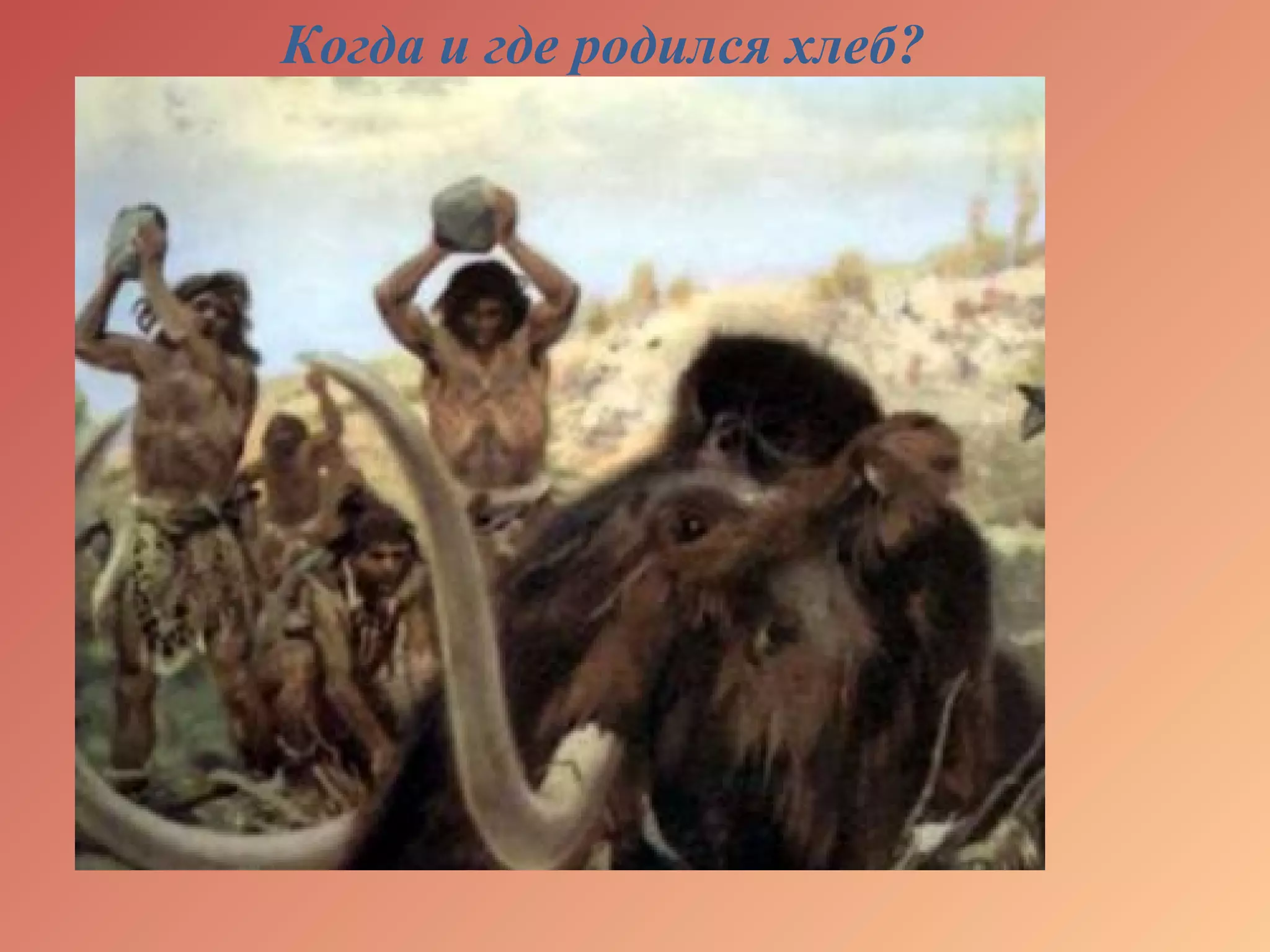 Когда и где родился хлеб?
 