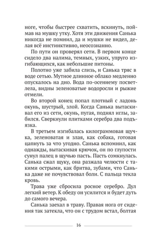 16
ноге, чтобы быстрее схватить, вскинуть, пой-
мав на мушку утку. Хотя эти движения Санька
никогда не помнил, да и мушки не видел, де-
лая всё инстинктивно, неосознанно.
По пути он проверял сети. В первом конце
сидело два налима, темных, узких, упруго из-
гибающихся, как небольшие питоны.
Полотно уже забила слизь, и Санька тряс в
воде сетью. Мутное длинное облако медленно
опускалось на дно. Вода по-осеннему посвет-
лела, видны зеленоватые водоросли и рыжие
отмели.
Во второй конец попал плотный с ладонь
окунь, шустрый, злой. Когда Санька вытаски-
вал его из сети, окунь, пугая, поднял иглы, за-
бился. Сверкнули плитками серебра два подъ-
язка.
В третьем изгибалась килограммовая щуч-
ка, зеленоватая и злая, как собака, готовая
цапнуть за что угодно. Санька вспомнил, как
однажды, вытаскивая крючок, он по глупости
сунул палец в щучью пасть. Пасть сомкнулась.
Санька сжал щуку, она разжала челюсти с та-
кими острыми, как бритва, зубами, что Сань-
ка даже не почувствовал боли. С пальца текла
кровь.
Трава уже сбросила росное серебро. Дул
легкий ветер. К обеду он усилится и будет дуть
до самого вечера.
Санька заехал в траву. Правая нога от сиде-
ния так затекла, что он с трудом встал, болтая
 