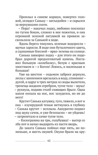 62
Проплыл в синеве коршун, повертел голо-
вой, оглядел Саньку – несъедобен – и скрылся
за верхушками сосен.
– Пора! – накачал лодку, любовно похлопал
по тугим бокам, сложил в нее пожитки, и она
огромной зеленой лягушкой на привязи за-
скользила за Санькой к воде.
Вдоль берега тянулись зеленые водоросли –
щучьи заросли. В воде они бутылочного цвета,
а сцапанные блесной – ярко-зелены на солнце.
Санька заякорил лодку – для этого он подо-
брал дорогой продолговатый камень. Поста-
вил большую «колебалку», белую с красным
хвостиком и – с Богом! Ловись, и маленькая и
большая!
Уже на шестом – седьмом забросе дернуло,
леска с шипением врезалась в воду, спиннинг–
дугой, и вдруг в трех метрах из воды вылетело,
трепеща жидким серебром, тугое тело – щука!
– рухнула, подняв столб сияющих брызг. Одна
капля попала на нос, нос зазуделся, но не до
него!
Крутит Санька катушку,туго,тяжело, а вот и
она – изумрудной тенью метнулась в глубину
– Санька крутит – всплыла. Аккуратно подвел
под щуку сачок, и уже безопасно – не уйдешь!
– затрепетало в сачке тугое тело.
– Килограмма на три, голубушка! – вытер со
лба пот и начал выдирать из пасти якорь.
До заката Санька поймал еще пять, но по-
меньше, и шесть окуней. Окуни брали на кру-
 