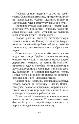 68
Первого увидел издали – замер на сухой
сосне. Сдерживая дыхание, прицелился, плав-
но нажал курок. «Север» щелкнул, и рябчик
мягко шлепнулся в траву у муравьиной кучи.
«Хорошее ружье! Если далеко – пулей, если
в ветках чуть виднеется – дробью. Какая вы-
сокая куча! Если кучи муравьиные большие,
зима суровая будет, – говорил дед».
Второй рябчик, вытянув остроносенькую
головку, глянул на Саньку из-за куста багуль-
ника и, срезанный дробью, забился, подпры-
гивая в смертных конвульсиях и разбрызгивая
перья.
Санька просто заставил себя снять рюкзак
и достать топор. Срубил тоненькую сосенку,
очистил от сучков и закрепил между двумя
деревьями невысоко от земли. Из стальной
проволоки сделал подобие петли, крепко при-
крутил к жердинке и уже в ней, привязав свер-
ху, разместил из медной проволочки петлю.
Перед петлей и за ней привязал по кисточке
рябины. Вот и всё – ловушка готова.
Санька даже «увидел», как рябчик, вытянув
голову, топает по жердинке к ягоде. Попал!
Рванулся, захлопав крыльями, жердинка под
тяжестью птицы перевернулась петлей вниз,
и вскоре, подрагивая, рябчик повис.
Этим способом ловили еще в семнадцатом
веке, а, может, и раньше. У каждого охотника
был свой путик, который тянулся на десятки
верст и передавался по наследству.
 