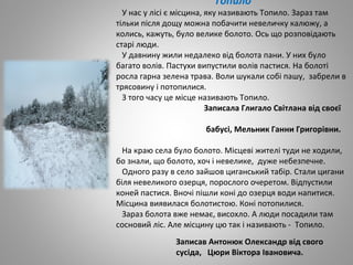 Топило
У нас у лісі є місцина, яку називають Топило. Зараз там
тільки після дощу можна побачити невеличку калюжу, а
колись, кажуть, було велике болото. Ось що розповідають
старі люди.
У давнину жили недалеко від болота пани. У них було
багато волів. Пастухи випустили волів пастися. На болоті
росла гарна зелена трава. Воли шукали собі пашу, забрели в
трясовину і потопилися.
З того часу це місце називають Топило.
Записала Глигало Світлана від своєї
бабусі, Мельник Ганни Григорівни.
На краю села було болото. Місцеві жителі туди не ходили,
бо знали, що болото, хоч і невелике, дуже небезпечне.
Одного разу в село зайшов циганський табір. Стали цигани
біля невеликого озерця, порослого очеретом. Відпустили
коней пастися. Вночі пішли коні до озерця води напитися.
Місцина виявилася болотистою. Коні потопилися.
Зараз болота вже немає, висохло. А люди посадили там
сосновий ліс. Але місцину цю так і називають - Топило.
Записав Антонюк Олександр від свого
сусіда, Цюри Віктора Івановича.
 