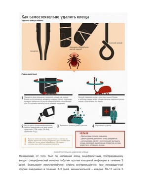 клещевой энцефалит | PDF | Free Download