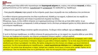 Στον καθημερινό λόγο αλλά πολύ περισσότερο στα λογοτεχνικά κείμενα και, κυρίως, στα νεότερα ποιητικά, οι λέξεις
χρησιμοποιούνται με δυο τρόπους: κυριολεκτικά και μεταφορικά. Στο ακόλουθο λ.χ. παράδειγμα:
- Ένας χαμηλός πέτρινος τοίχος χώριζε τα δυο κτήματα, χωρίς όμως να χωρίζει και τους ανθρώπους που γειτόνευαν
το επίθετο πέτρινος χρησιμοποιείται στο λόγο κυριολεκτικά, δηλαδή με την αρχική, τη βασική και την ακριβή του
σημασία: τοίχος φτιαγμένος από πέτρα (=κυριολεκτική σημασία της λέξης).
Μπορούμε, όμως, το ίδιο επίθετο πέτρινος να το χρησιμοποιήσουμε στο λόγο και με έναν άλλο τρόπο: το μη
κυριολεκτικό, που λέγεται μεταφορικός ή απλά μεταφορά. Αυτή η δεύτερη μεταφορική χρήση της λέξης φαίνεται καθαρά
στο επόμενο παράδειγμα:
- Μπροστά στο φρικτό θέαμα στεκόταν σχεδόν ασυγκίνητος. Το έδειχνε πλέον καθαρά: είχε μια πέτρινη καρδιά.
Σ' αυτό το δεύτερο παράδειγμα, το επίθετο πέτρινος δε χρησιμοποιείται με την αρχική του σημασία αλλά με μιαν άλλη,
δεύτερη και διαφορετική σημασία, που λέγεται μεταφορική (πέτρινη καρδιά = σκληρή καρδιά).
Όπως εύκολα γίνεται κατανοητό, αυτή η δεύτερη μη κυριολεκτική χρήση της λέξης ονομάστηκε μεταφορά, γιατί η λέξη
«μεταφέρεται» από τη μια έννοια (=πέτρινος τοίχος) σε μιαν άλλη (=πέτρινη καρδιά). Για να είναι όμως δυνατή και λογικά
αποδεκτή μια τέτοια «μεταφορά» της λέξης, θα πρέπει ανάμεσα στις δύο έννοιες να υπάρχει μια κοινή ιδιότητα ή
ομοιότητα. Στα δύο προαναφερόμενα παραδείγματα, η κοινή ομοιότητα και ιδιότητα είναι η σκληρότητα: σκληρή η
πέτρα απ' την οποία είναι φτιαγμένος ο τοίχος, σκληρή και η καρδιά. Αυτή όμως η έννοια μένει κρυφή. Πρέπει να τη
μαντέψουμε. Όσο πιο δύσκολο είναι να τη μαντέψουμε, τόσο πιο πετυχημένη είναι η μεταφορά.
 