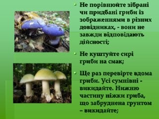  Не порівнюйте зібрані
чи придбані гриби із
зображеннями в різних
довідниках, - вони не
завжди відповідають
дійсності;
 Не куштуйте сирі
гриби на смак;
 Ще раз перевірте вдома
гриби. Усі сумнівні -
викидайте. Нижню
частину ніжки гриба,
що забруднена грунтом
– викидайте;
 