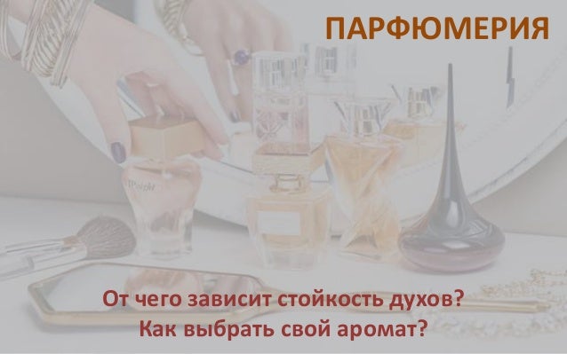 Карина цакоева парфюмерия
