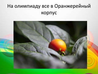 На олимпиаду все в Оранжерейный
корпус
 