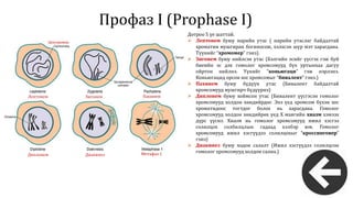 эсийн хуваагдал сайжруулсан | PPT