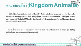 สิ่งมีชีวิตที่จัดอยู่ในอำณำจักรมีมำกกว่ำ 1.7 ล้ำนสปี ชีส์ ในจำนวนนี้เป็ นแมลงประมำณ 6 แสนชนิด สัตว์ถือเป็ น
สิ่งมีชีวิตที่มีควำมสำคัญต่อระบบนิเวศในแง่ของผู้บริโภค ซึ่งเป็นผลทำให้มีกำรถ่ำยทอดพลังงำนไปยังผู้บริโภคระดับ
ต่ำงๆ นอกจำกนี้สัตว์ยังเป็นตัวทำให้เกิดแก๊สคำร์บอนไดออกไซด์ซึ่งมีควำมสำคัญในกำรสังเครำะห์ด้วยแสงของพืช และ
ก่อให้เกิดควำมสมดุลในธรรมชำติ
สัตว์เป็ นสิ่งมีชีวิตหลำยเซลล์ ไม่มีคลอโรฟิ ลล์จึงไม่สำมำรถสร้ำงอำหำรได้เอง และมีระยะตัวอ่อน (EMBRYO)
สิ่งมีชีวิตในอำณำจักรสัตว์แบ่งออกเป็นไฟลัมต่ำงๆดังนี้
อำณำจักรสัตว์ (Kingdom Animalia)
 