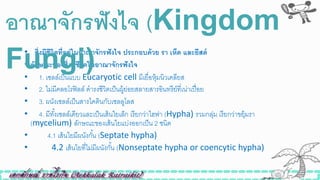 • สิ่งมีชีวิตที่อยู่ในอาณาจักรฟังไจ ประกอบด้วย รา เห็ด และยีสต์
• ลักษณะของสิ่งมีชีวิตในอาณาจักรฟังไจ
• 1. เซลล์เป็นแบบ Eucaryotic cell มีเยื่อหุ้มนิวเคลียส
• 2. ไม่มีคลอโรฟิลล์ ดารงิีวิตเป็นผู้ย่อยสลายสารอินทรีย์ที่เน่าเปื่อย
• 3. ผนังเซลล์เป็นสารไคตินกับเซลลูโลส
• 4. มีทั้งเซลล์เดียวและเป็นเส้นใยเล็ก เรียกว่าไฮฟา (Hypha) รวมกลุ่ม เรียกว่าขยุ้มรา
(mycelium) ลักษณะของเส้นใยแบ่งออกเป็น 2 ินิด
• 4.1 เส้นใยมีผนังกั้น (Septate hypha)
• 4.2 เส้นใยที่ไม่มีผนังกั้น (Nonseptate hypha or coencytic hypha)
อาณาจักรฟังไจ (Kingdom
Fungi)
 