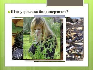 Шта угрожава биодиверзитет?
 