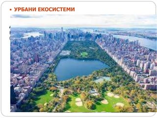  УРБАНИ ЕКОСИСТЕМИ
Да би надокнадио макар део природе урбани човек
подиже и одржава вештечке зелене површине
(паркови, дрвеореди, травњаци, ботаничке баште и вртове).
 