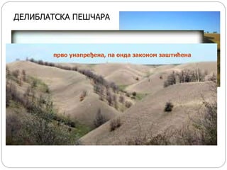 ДЕЛИБЛАТСКА ПЕШЧАРА
прво унапређена, па онда законом заштићена
 