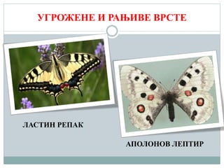 УГРОЖЕНЕ И РАЊИВЕ ВРСТЕ
ЛАСТИН РЕПАК
АПОЛОНОВ ЛЕПТИР
 