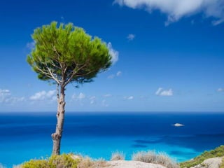 Ευχαριστούμε για την προσοχή σας!
 