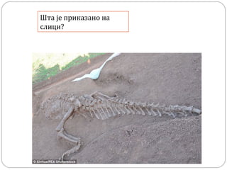 Шта је приказано на
слици?
 