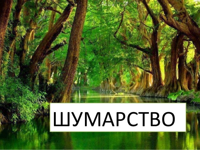 Шумарство