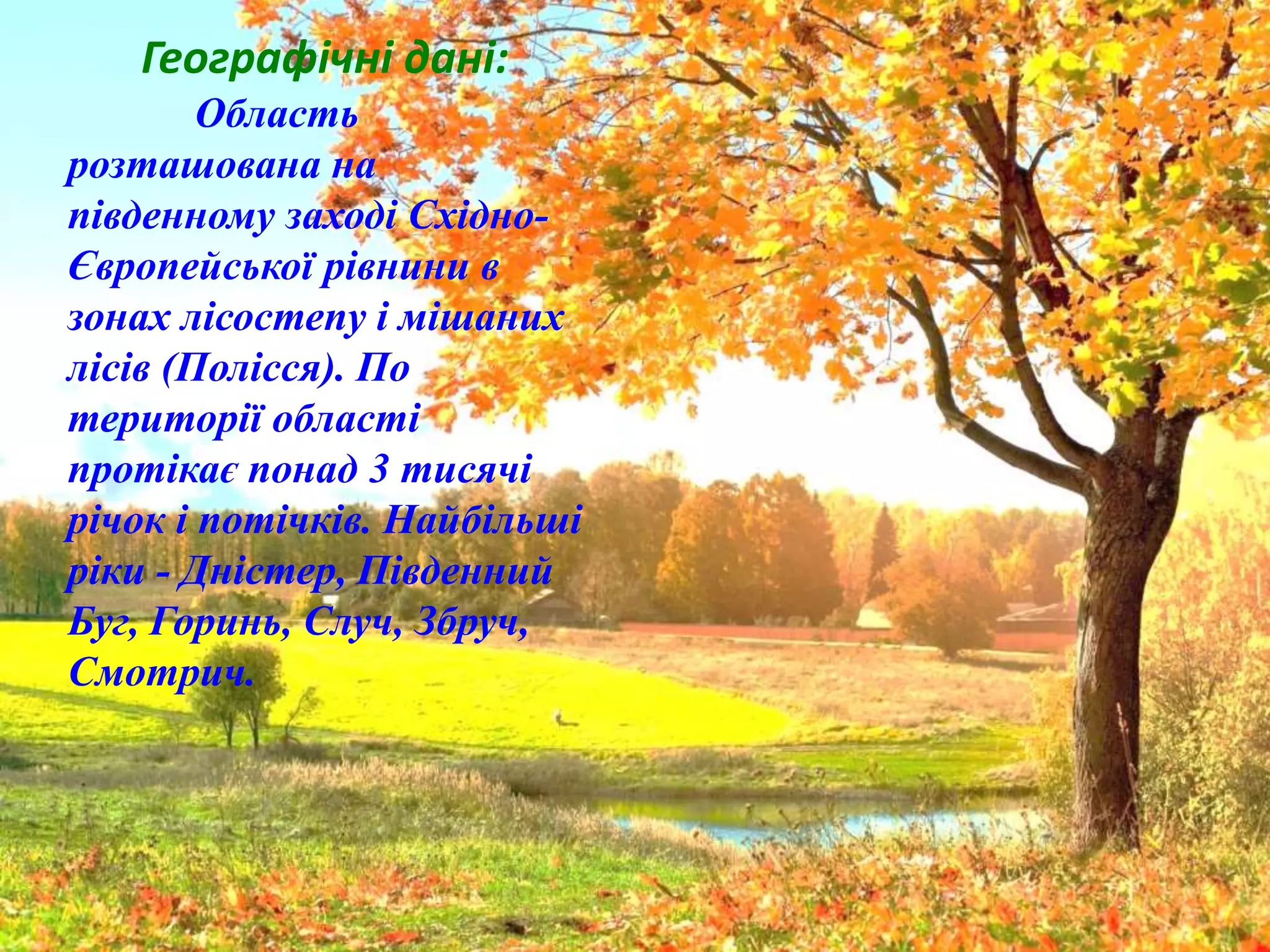 Географічні дані:
Область
розташована на
південному заході Східно-
Європейської рівнини в
зонах лісостепу і мішаних
лісів (Полісся). По
території області
протікає понад 3 тисячі
річок і потічків. Найбільші
ріки - Дністер, Південний
Буг, Горинь, Случ, Збруч,
Смотрич.
 