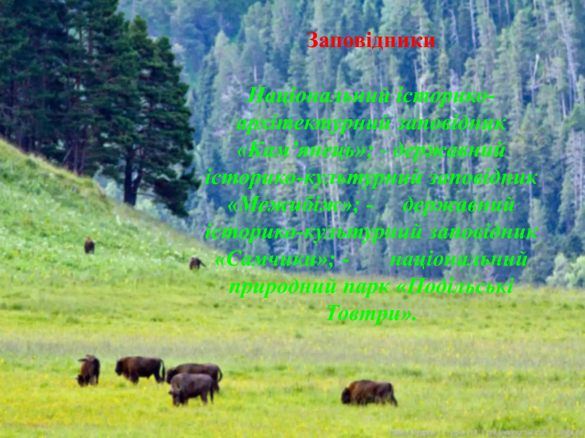 Заповідники
Національний історико-
архітектурний заповідник
«Кам’янець»; - державний
історико-культурний заповідник
«Межибіж»; - державний
історико-культурний заповідник
«Самчики»; - національний
природний парк «Подільські
Товтри».
 