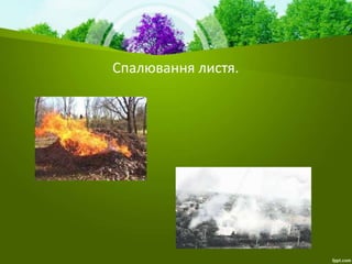 Спалювання листя.
 
