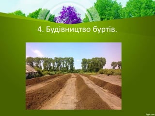 4. Будівництво буртів.
 