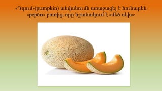 «Դդում»(pumpkin) անվանումն առաջացել է հունարեն
«pepōn» բառից, որը նշանակում է «մեծ սեխ»։
 