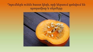 Դդումներն ունեն հաստ կեղև, որի ներսում գտնվում են
պտղամիսը և սերմերը։
 