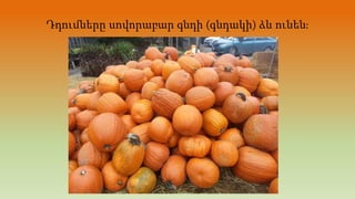 Դդումները սովորաբար գնդի (գնդակի) ձև ունեն։
 