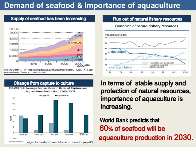 Availability Of Natto For Aquatic Feed Availability Of Natto For Aquatic Feed
