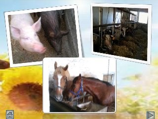 Mоя батьківщина