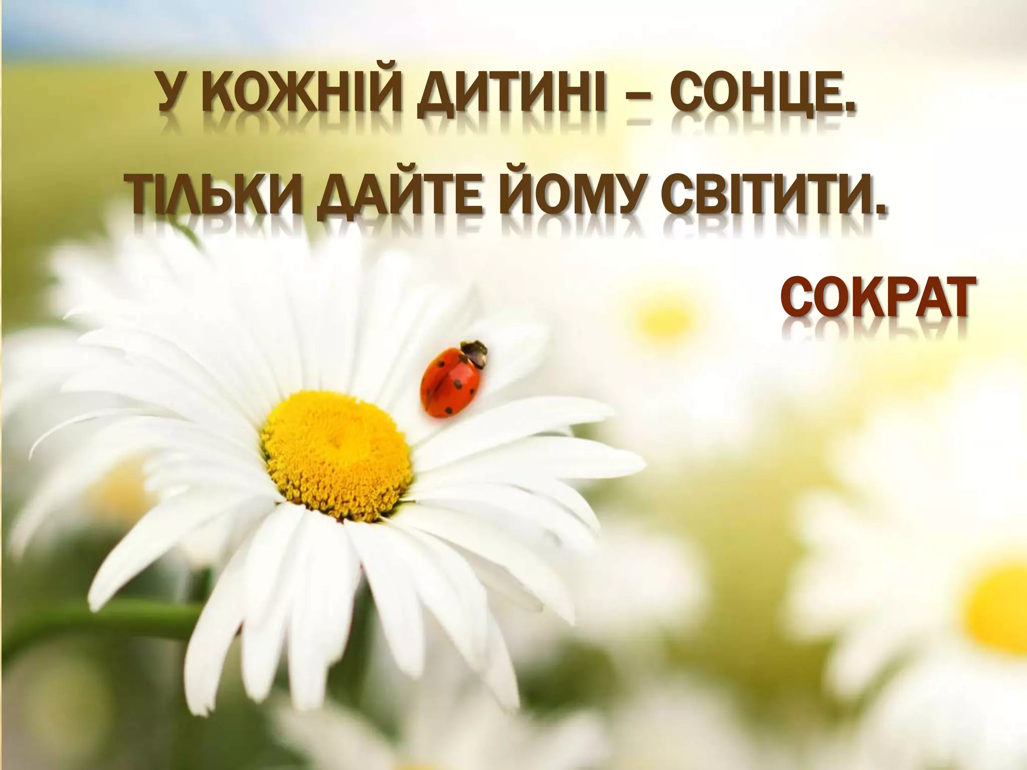 У КОЖНІЙ ДИТИНІ – СОНЦЕ.
ТІЛЬКИ ДАЙТЕ ЙОМУ СВІТИТИ.
СОКРАТ
 