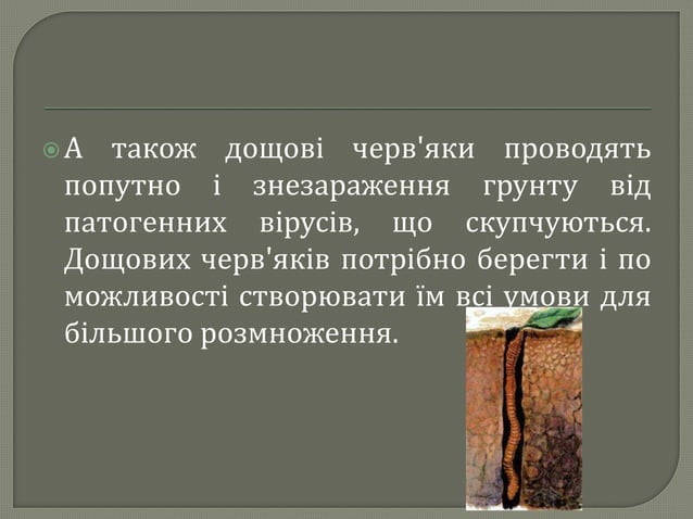 професія дощового черв`яка, яровий я | PPT