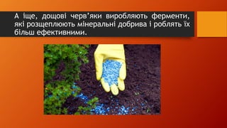 А іще, дощові черв’яки виробляють ферменти,
які розщеплюють мінеральні добрива і роблять їх
більш ефективними.
 