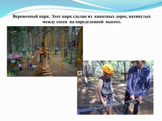 Веревочный парк. Этот парк сделан из канатных дорог, натянутых
между сосен на определенной высоте.