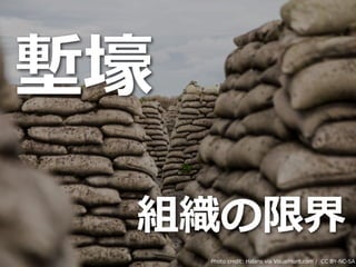 Toshihiro Ichitani All Rights Reserved.
塹壕
Photo credit: Halans via VisualHunt.com / CC BY-NC-SA
組織の限界
 