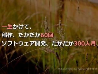 Toshihiro Ichitani All Rights Reserved.
⼀⽣かけて、
稲作、たかだか60回
ソフトウェア開発、たかだか300⼈⽉
Photo credit: Mariam S via VisualHunt / CC BY-NC-ND
 