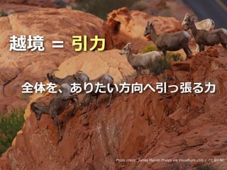 Toshihiro Ichitani All Rights Reserved.
越境 = 引⼒
全体を、ありたい⽅向へ引っ張る⼒
Photo credit: James Marvin Phelps via Visualhunt.com / CC BY-NC
 