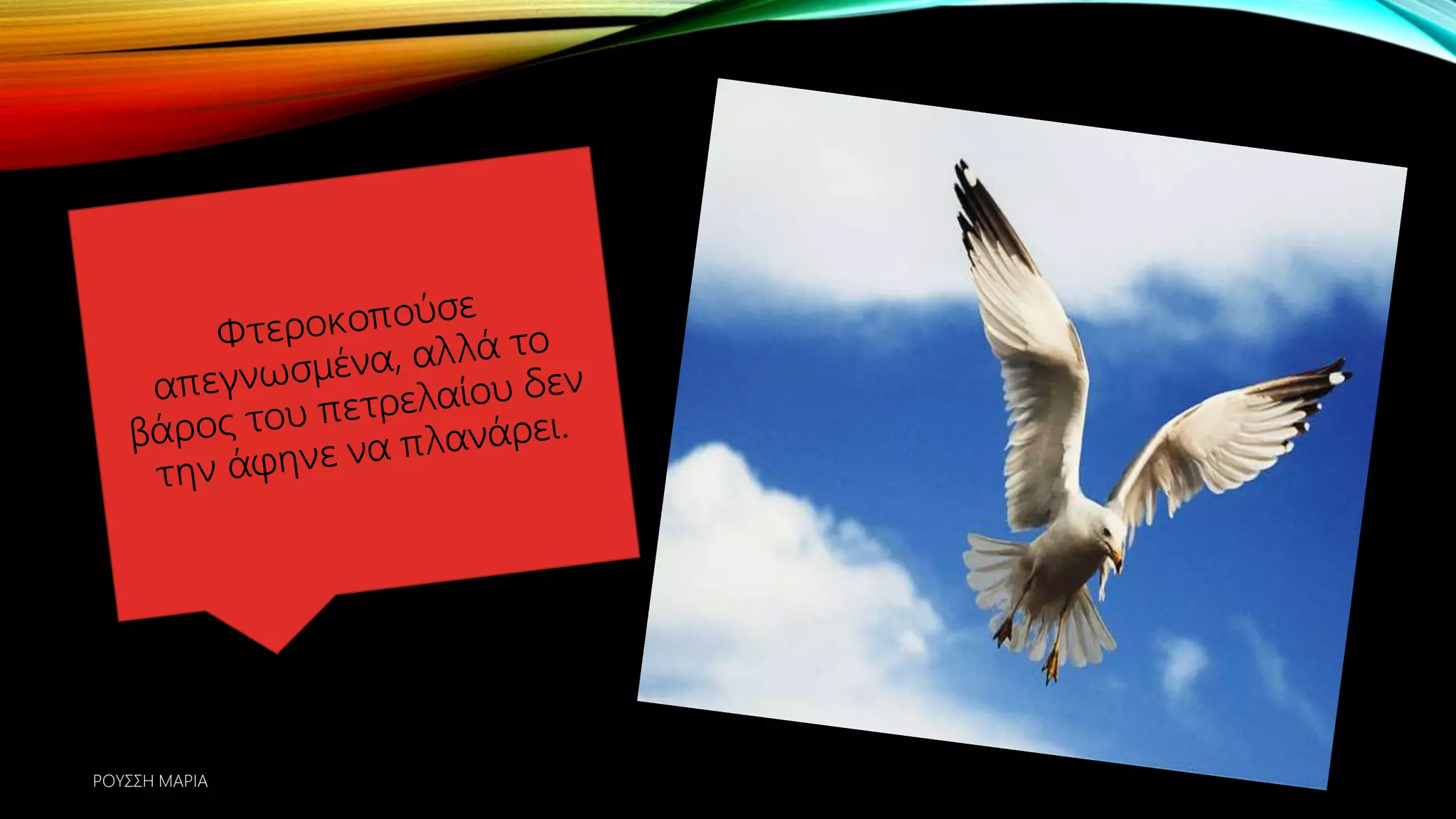 ΡΟΥΣΣΗ ΜΑΡΙΑ
 