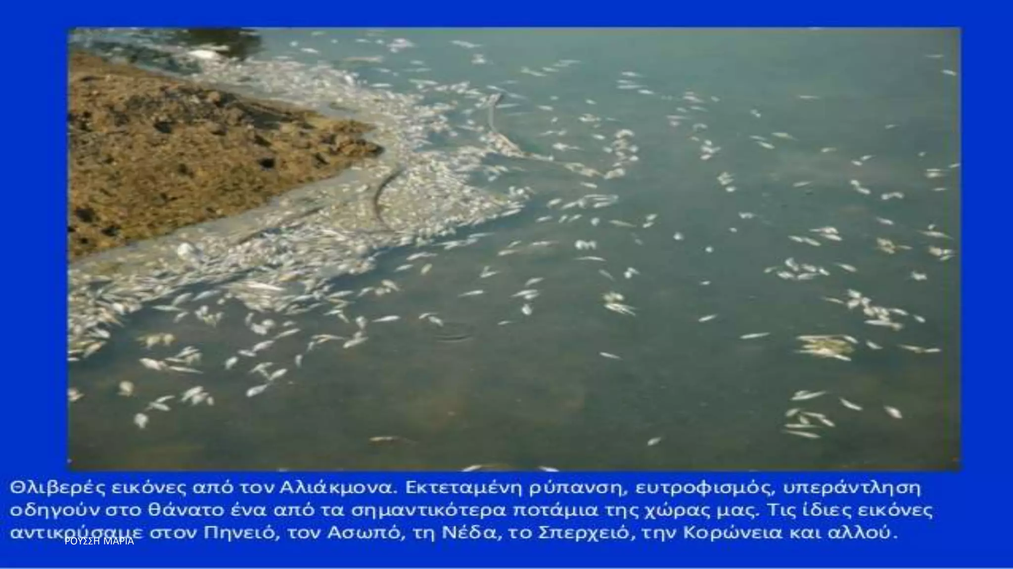 ΡΟΥΣΣΗ ΜΑΡΙΑ
 